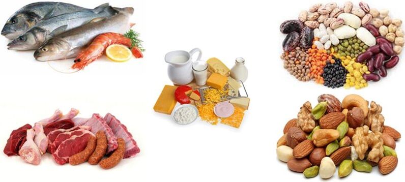 protein pəhrizində protein məhsulları