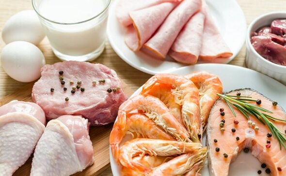 Əsas protein pəhrizi